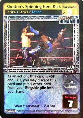 Sheltons Spinning Heel Kick